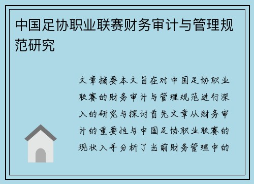 中国足协职业联赛财务审计与管理规范研究